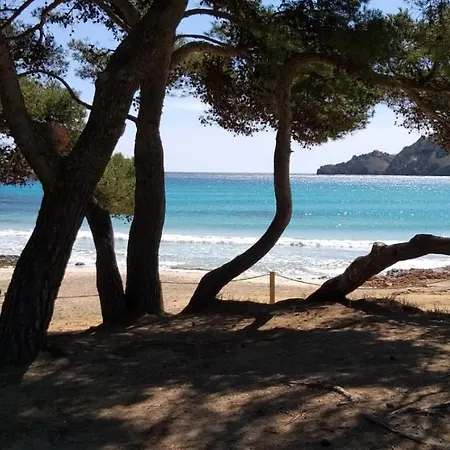 Punta Ses Planes * Son Servera (Mallorca)
